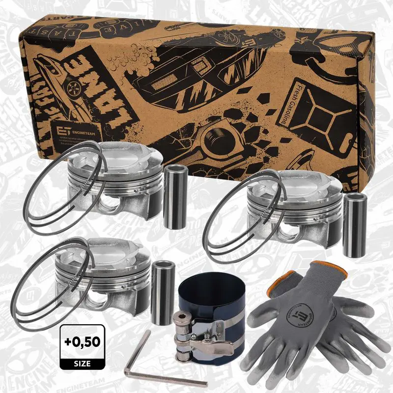 PM015450VR1 Piston Set