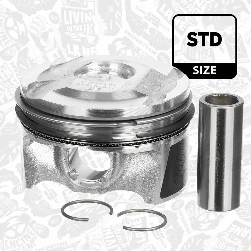 PM015600 Piston