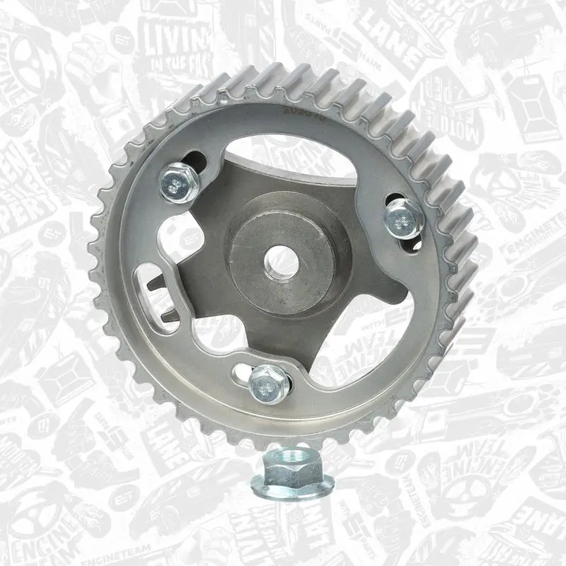 RG0022 Gear/Sprocket, camshaft