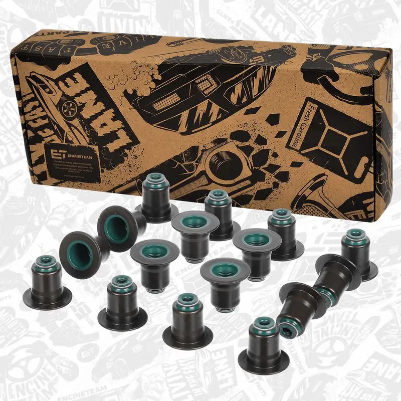 TM0060 Seal Set, valve stem