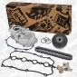 RS0061VR2 Timing Chain Kit