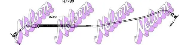 H7789 