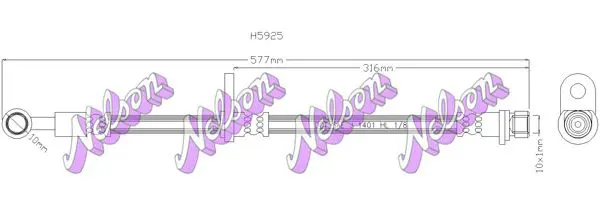 H5925 