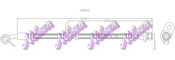 H5923 