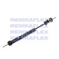 442036AUT 