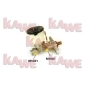 KAWE B1827