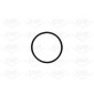 KWP 10879