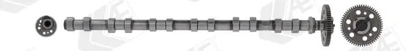 AE CAM1017 Распредвал
