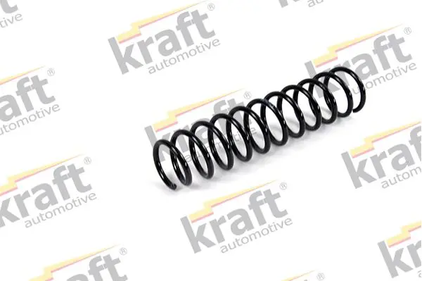 4036314 Coil spring