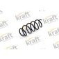 4022038 Coil spring