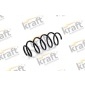 4022058 Coil spring