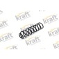 4034810 Coil spring