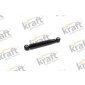 4012070 Амортизатор