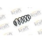 4020300 Coil spring