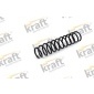 4036314 Coil spring