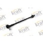 4300165 Rod assembly