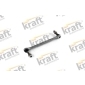 4302101 KRAFT 