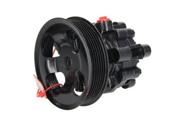LAUBER 556095 Насос