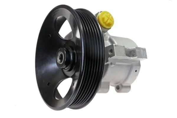 55.9902 Hydraulic Pump, steering
