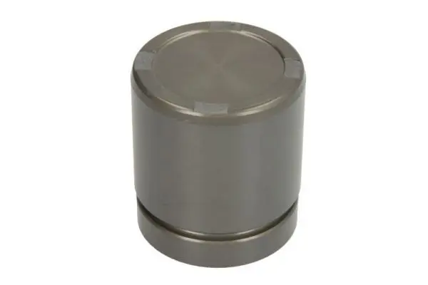 LAUBER CQ71455017 Поршень, корпус скобы тормоза