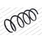4062109 Пружина передняя NISSAN