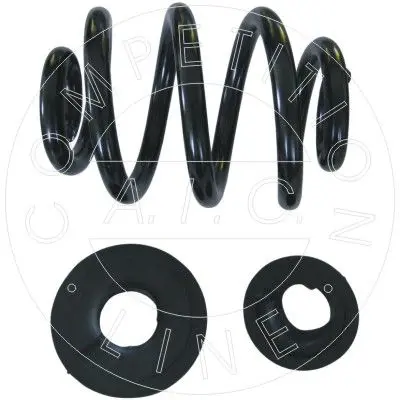 53131 Suspension Spring