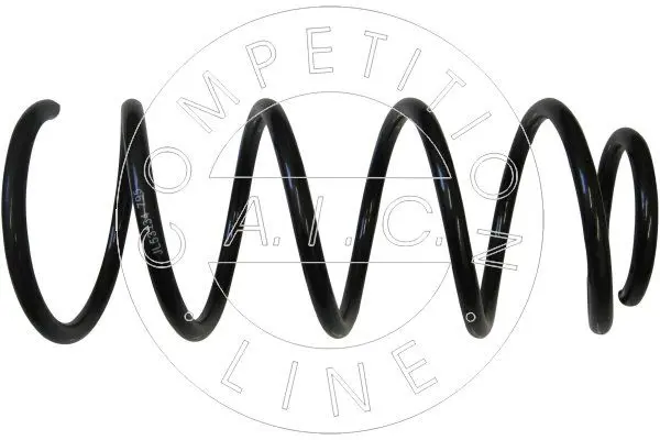 53134 Suspension Spring