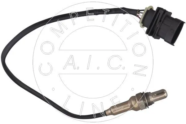  Oxygen Sensor