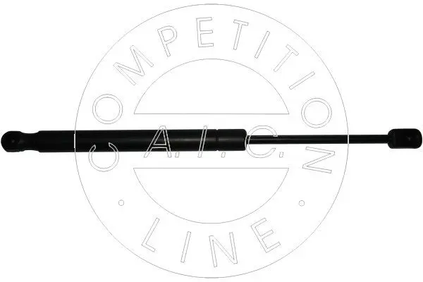  AIC Gas Spring, boot/cargo area