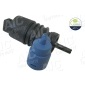 51768 Washer Fluid Pump, window