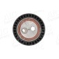 AIC 51205