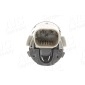 AIC 55181