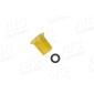 AIC 57174