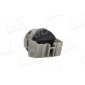 AIC 56613