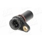 AIC 51667