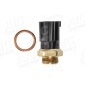 52221 Temperature Switch, radiator