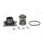 56067 Thermostat, coolant