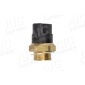 50810 Temperature Switch, radiator