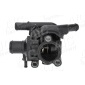 55639 Thermostat, coolant