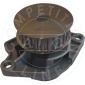 AIC 51417
