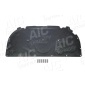 AIC 57101