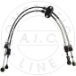 AIC 58975