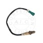 AIC 70782