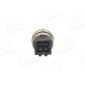 AIC 51254