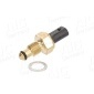 AIC 57516