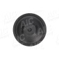 AIC 55599