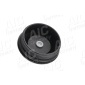 AIC 55599