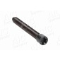 AIC 51229