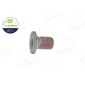 51498 AIC Bolt, brake disc