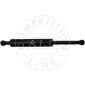 AIC 53876